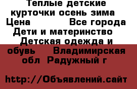 Теплые детские курточки осень-зима › Цена ­ 1 000 - Все города Дети и материнство » Детская одежда и обувь   . Владимирская обл.,Радужный г.